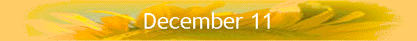 December 11